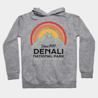 Denali National Park Retro Sticker Hoodie